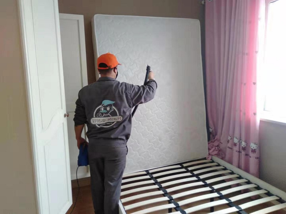 臥室床墊重點污染源噴涂治理甲醛