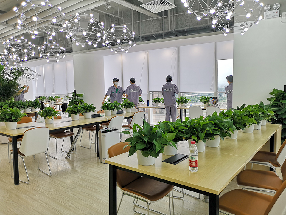 辦公大廳全方位噴涂治理 辦公大廳全方位噴涂治理